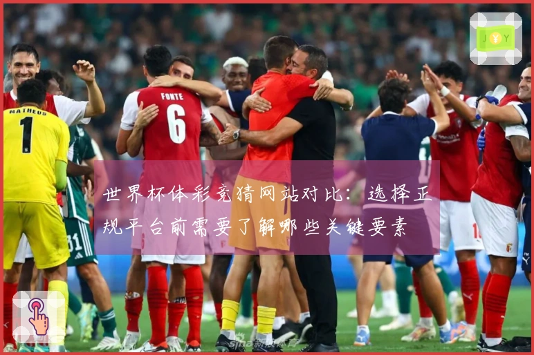 世界杯体彩竞猜网站对比：选择正规平台前需要了解哪些关键要素