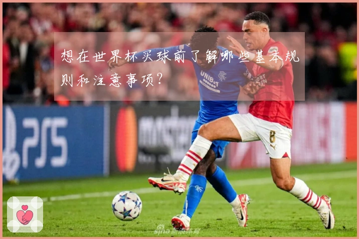 想在世界杯买球前了解哪些基本规则和注意事项？