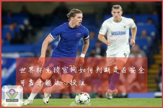 世界杯竞猜官网如何判断是否安全可靠才能放心投注