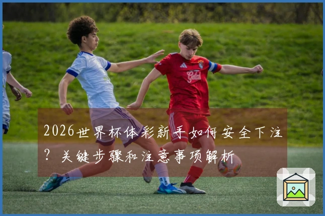 2026世界杯体彩新手如何安全下注?关键步骤和注意事项解析