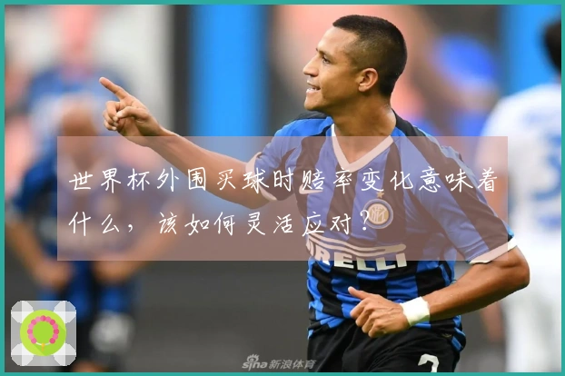 世界杯外围买球时赔率变化意味着什么，该如何灵活应对？