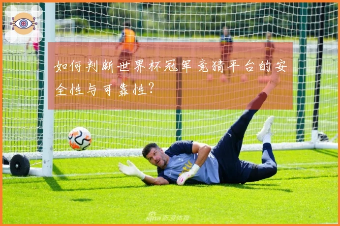 如何判断世界杯冠军竞猜平台的安全性与可靠性？