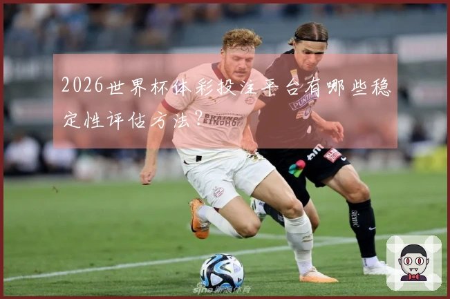 2026世界杯体彩投注平台有哪些稳定性评估方法？