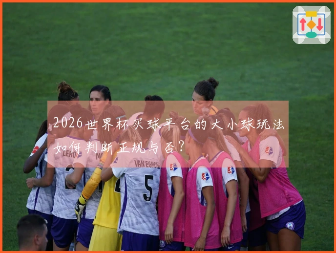 2026世界杯买球平台的大小球玩法如何判断正规与否？