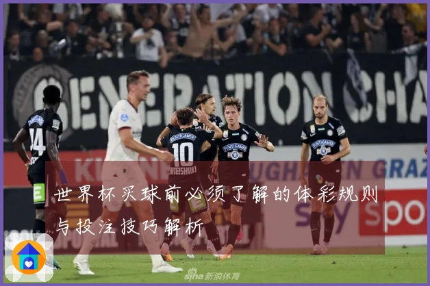 世界杯买球前必须了解的体彩规则与投注技巧解析