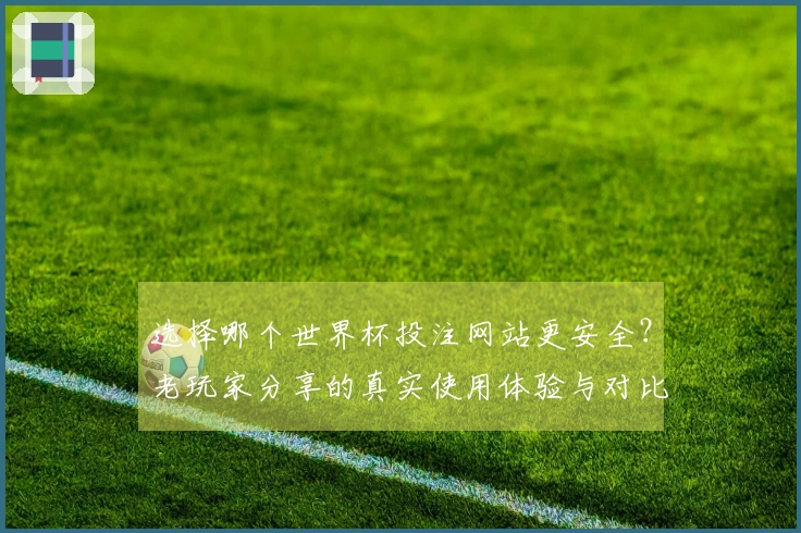 选择哪个世界杯投注网站更安全？老玩家分享的真实使用体验与对比分析