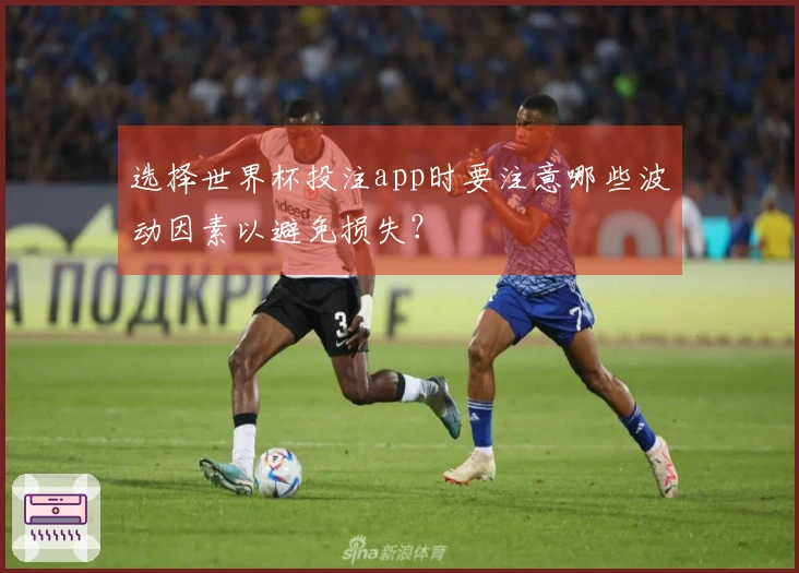 选择世界杯投注app时要注意哪些波动因素以避免损失？