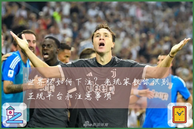 世界杯如何下注？老玩家教你识别正规平台和注意事项