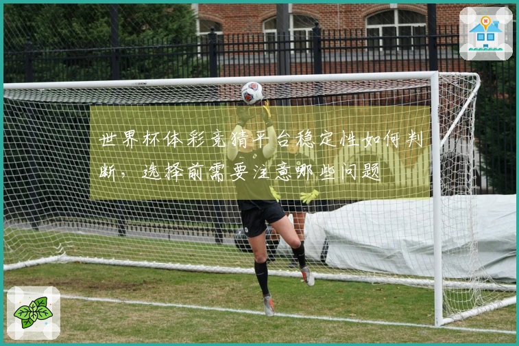 世界杯体彩竞猜平台稳定性如何判断，选择前需要注意哪些问题