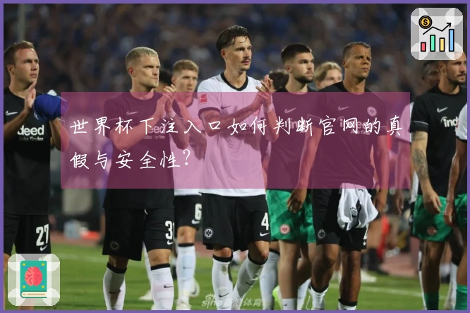世界杯下注入口如何判断官网的真假与安全性？