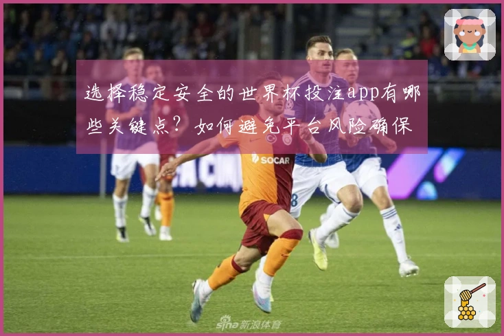 选择稳定安全的世界杯投注app有哪些关键点？如何避免平台风险确保资金安全
