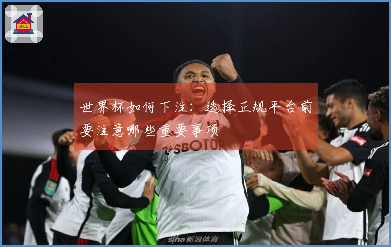 世界杯如何下注：选择正规平台前要注意哪些重要事项