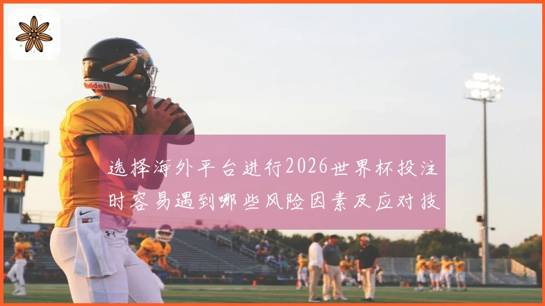 选择海外平台进行2026世界杯投注时容易遇到哪些风险因素及应对技巧