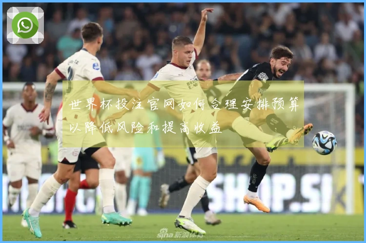 世界杯投注官网如何合理安排预算以降低风险和提高收益