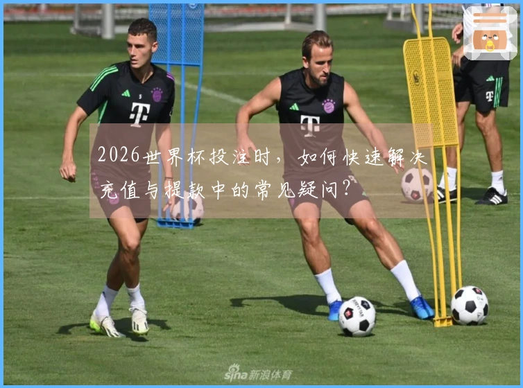2026世界杯投注时，如何快速解决充值与提款中的常见疑问？