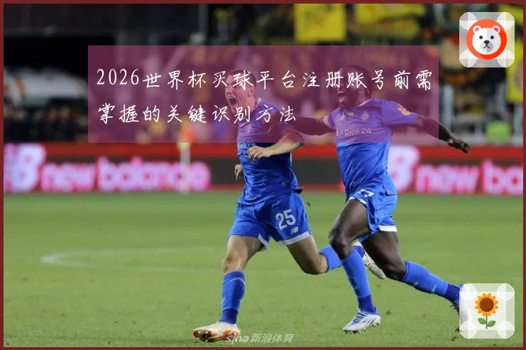 2026世界杯买球平台注册账号前需掌握的关键识别方法