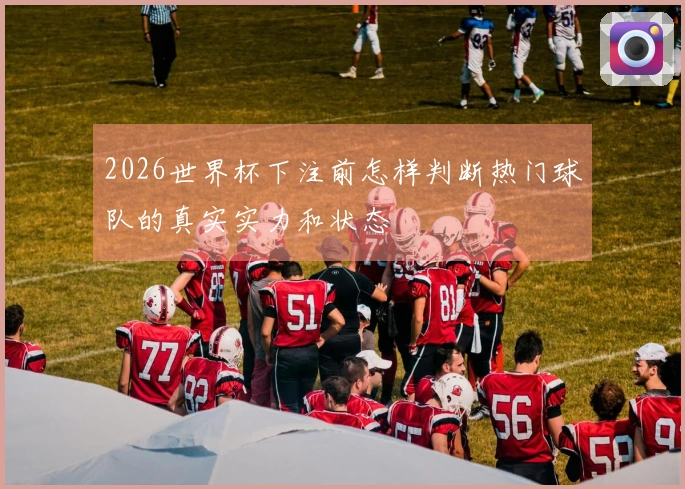 2026世界杯下注前怎样判断热门球队的真实实力和状态
